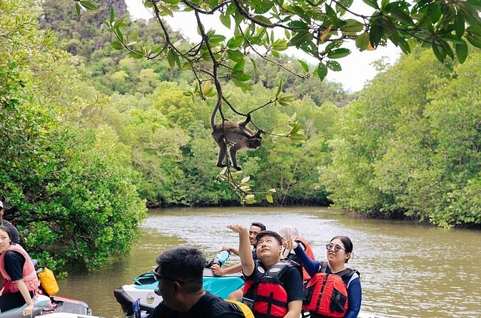 Jet Ski Kilim Mangrove Tour - Who Should Consider This Tour?