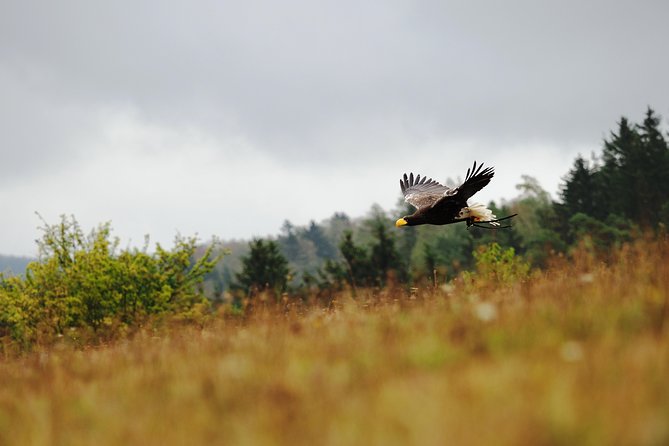 The Astonishing Islands of Tropical Langkawi - Overall Value and Who Should Consider This Tour