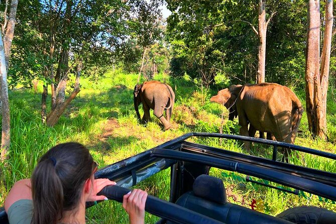 Sri Lanka Tour 06 Nights 07 Days with Hotels & Transport - An Overview of the Tour Experience