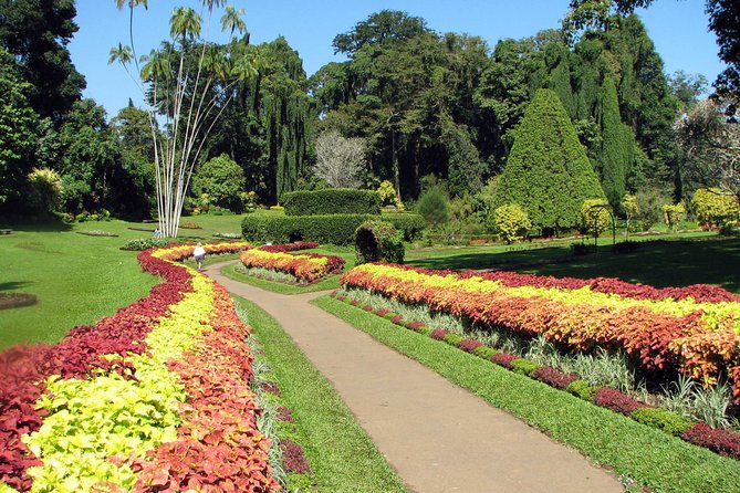 Kandy City Tour from Negombo - A Detailed Look at the Kandy City Tour from Negombo