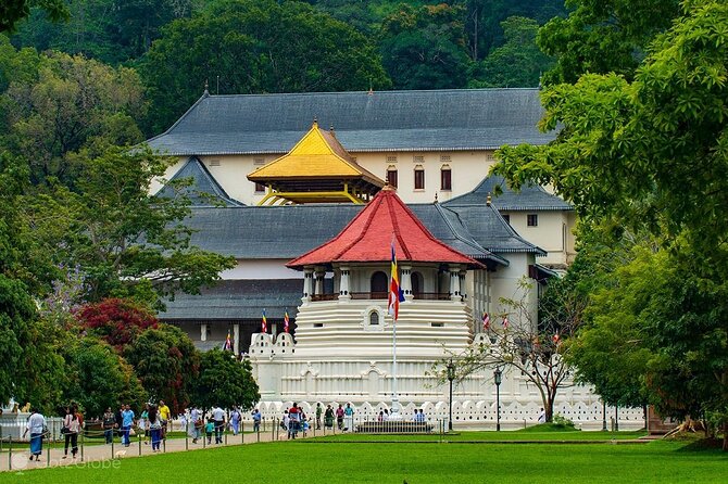Kandy City Tour from Negombo - Who Is This Tour Best Suited For?