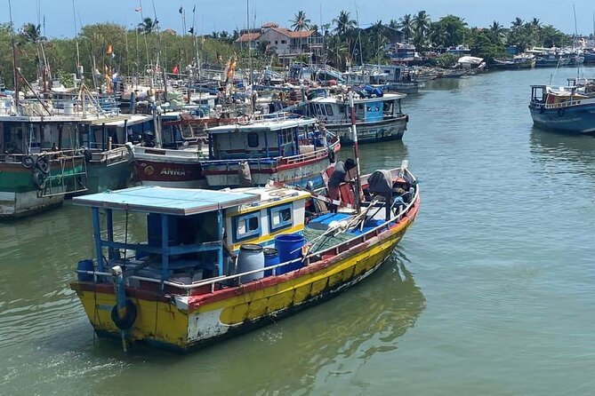 Visit Negombo by Scooty - All Inclusive - A Deep Dive Into the Negombo Scooty Tour