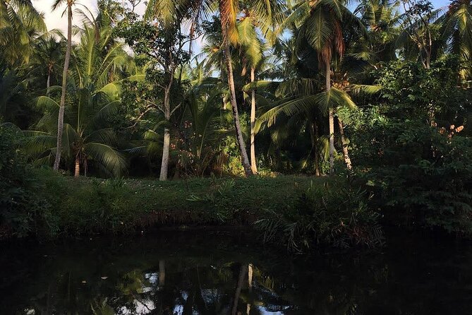 Negombo Lagoon & Muthurjawela Bird Watching Boat Tour - Good To Know