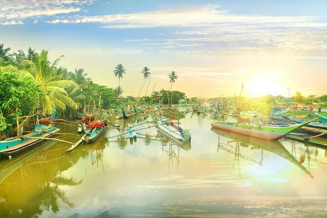 Negombo Lagoon & Muthurjawela Bird Watching Boat Tour - Who Should Consider This Experience?