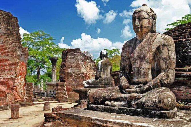 Private Day Tour to Polonnaruwa with Driver from Negombo - Key Points