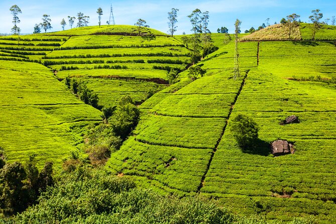 Experience Sri Lanka - Practical Tips and Insights