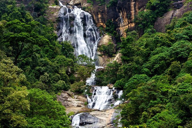 Experience Sri Lanka - Who This Tour Is Best For