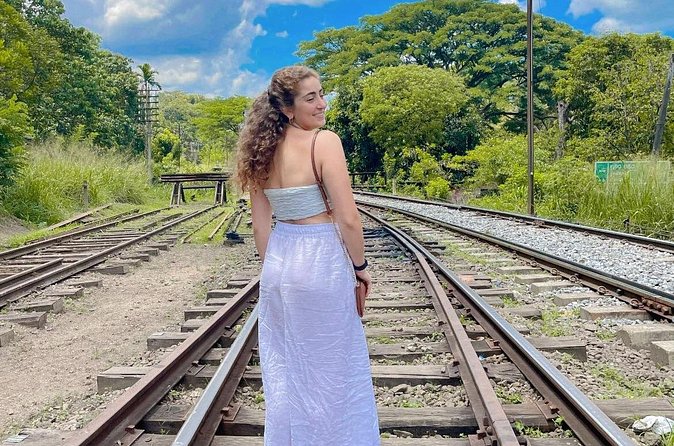 Sri Lanka Personal Tour Driver in a Private Vehicle - FAQ