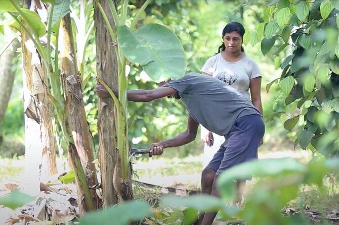 Kadadasi and the Backyard Forest - An In-depth Look at the Kadadasi and Backyard Forest Experience