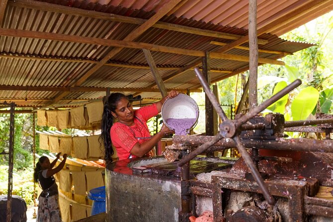 Kadadasi and the Backyard Forest - The Value of This Tour for Different Travelers