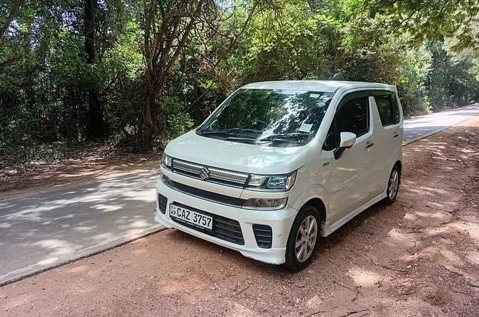 Flexible Budget Taxi Tours in Sri Lanka with English Support - Who Would Benefit Most?