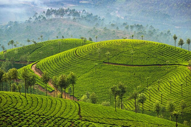 7 Days Sri Lanka Adventure and Culture Tour - The Sum Up