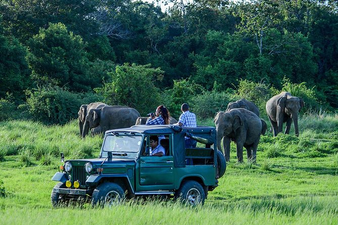2 Days Tour of Double Safari (Yala & Udawalawe) - All Inclusive - A Deep Dive into the Two Days of Safari