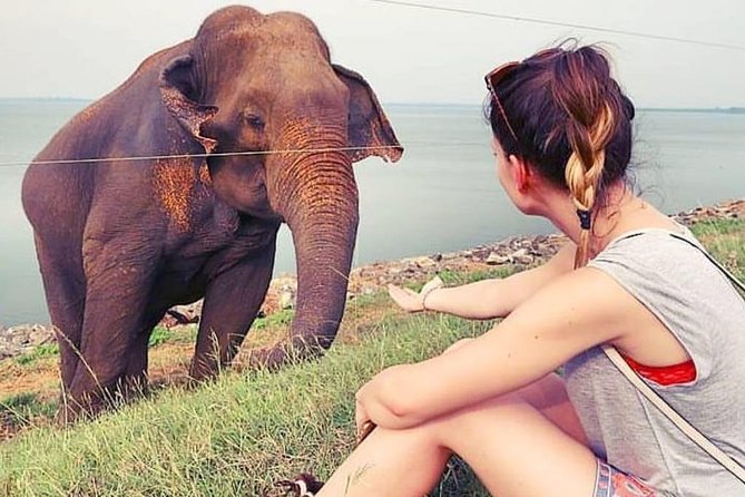 Day Excursions To Udawalawe National Park From Negombo - Udawalawe National Park: The Heart of the Safari