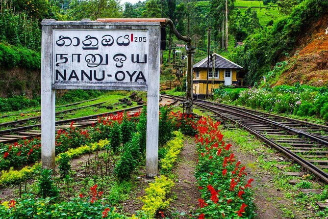Train Tickets Reservation from Nuwara Eliya to Kandy or Colombo - The Experience of Scenic Views
