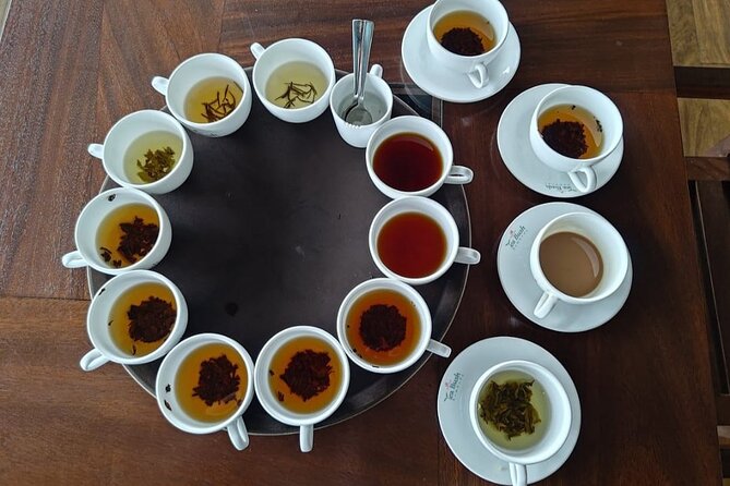 Nuwaraeliya Tea Factory and WaterFall Tours With DMJ Tours - Final Thoughts