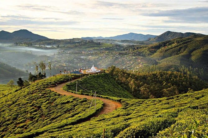 Ella to Nuwara Eliya Day trips with Mr.Tuk Tuk - Price and Value