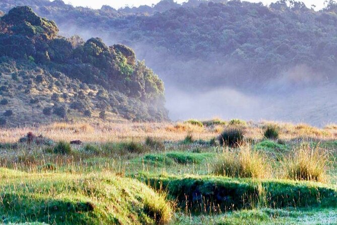 Horton Plains Park & Worlds End Guided Trekking From Nuwara Eliya - Exploring Ambewela Farms: A Picturesque Detour