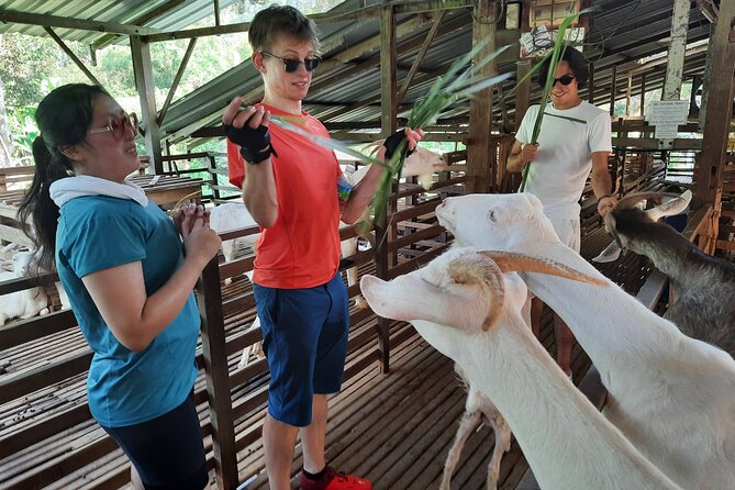 Penang Countryside Cycling Tour. PPA2 by Matahari - An In-Depth Look at Penang’s Countryside Cycling Experience