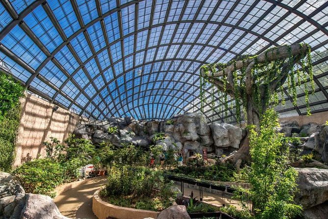 Malaysia: Discover Nature's Wonders with Entopia Entry Ticket - Exploring Entopia: A Closer Look