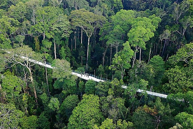 Panoramic Penang Hill & The Habitat Nature Discovery - Key Points
