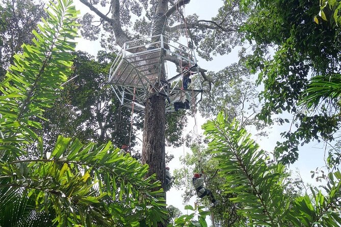 Panoramic Penang Hill & The Habitat Nature Discovery - Exploring the Itinerary in Detail