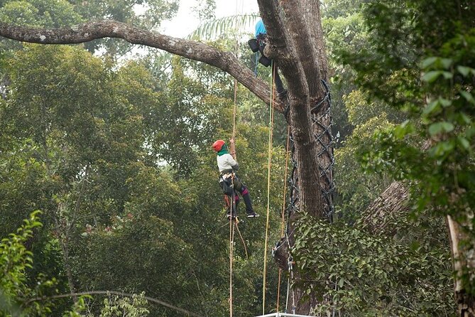 Panoramic Penang Hill & The Habitat Nature Discovery - Authentic Insights from Past Visitors
