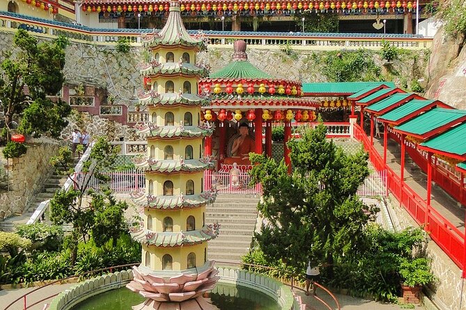 Show Wonderful of Butterflies & Botanics in Private Tour - Penang - Exploring the Itinerary in Detail