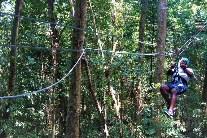Zipline Canopy At White River Valley from Ocho Rios - An In-Depth Look at the Zipline Experience