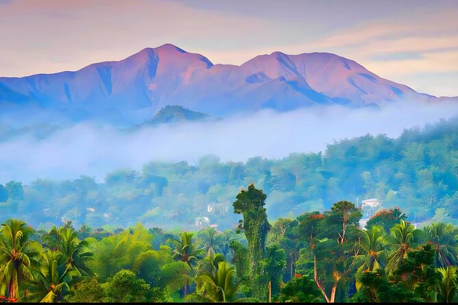 Private Blue Mountain tour from Ocho Rios - Exploring Jamaica’s Blue Mountains: A Private Tour from Ocho Rios