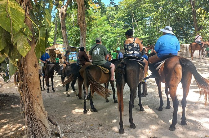 Horse Back Riding in Ocho Rios - A Well-Balanced Experience