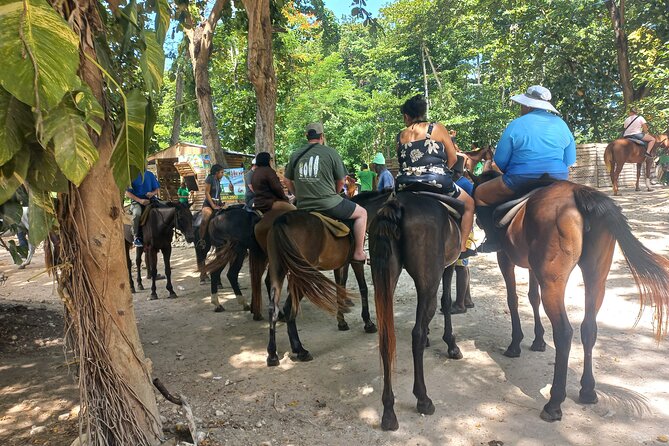 Horse Back Riding in Ocho Rios - Horse Back Riding in Ocho Rios: A Genuine Jamaican Adventure