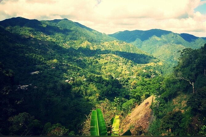 Bob Marley Nine Mile Home Private Tour from Montego Bay - Why This Tour Will Meet Your Expectations