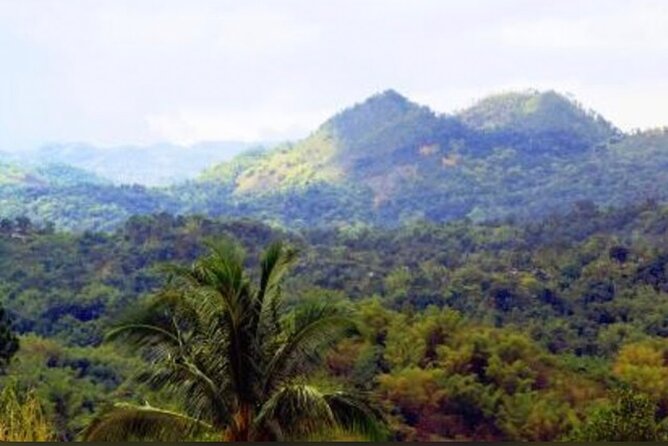 Bob Marley Nine Mile Home Private Tour from Montego Bay - Good To Know