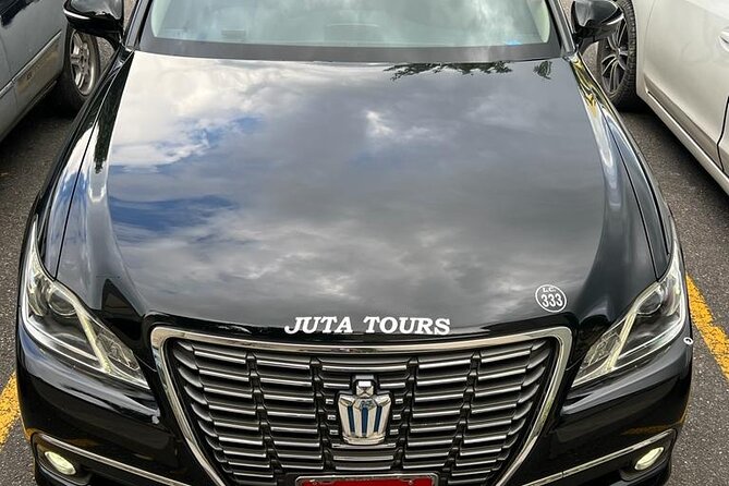 Princess Grand Jamaica Private Transport Experience - A Detailed Look at the Princess Grand Jamaica Private Transport Experience