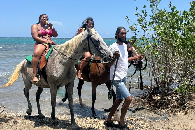 Montego Bay Beach Horseback Riding Tour - Final Thoughts