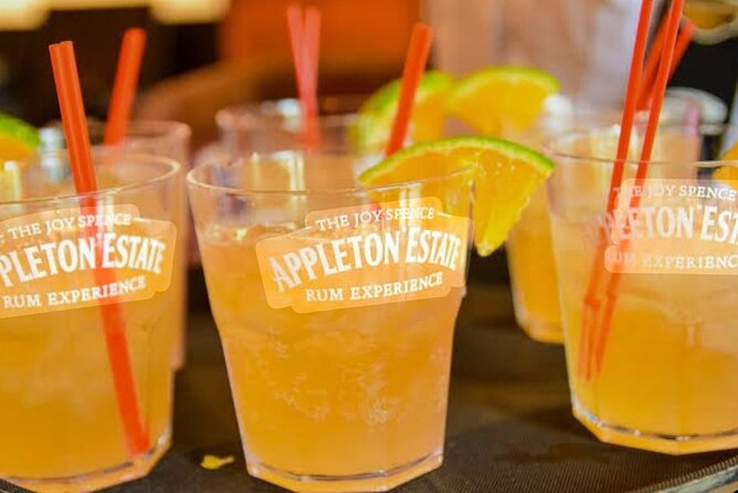 Appleton Estate, YS Falls and Pelican Bar Day Trip from Kingston - Key Points