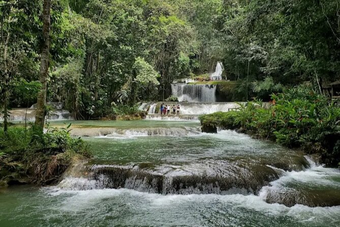 Appleton Estate, YS Falls and Pelican Bar Day Trip from Kingston - Exploring the Details: What Makes This Tour Special