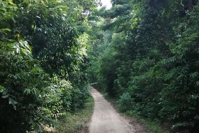 Private trip around Koh Phangan - The Food and Comfort of the Tour