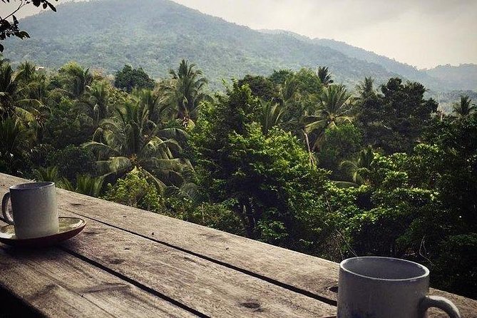 Private trip around Koh Phangan - Who Is This Tour Best For?