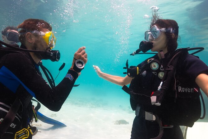 La Bombona Diving Koh Tao Open Water Course - Exploring the Koh Tao Open Water Course with La Bombona Diving