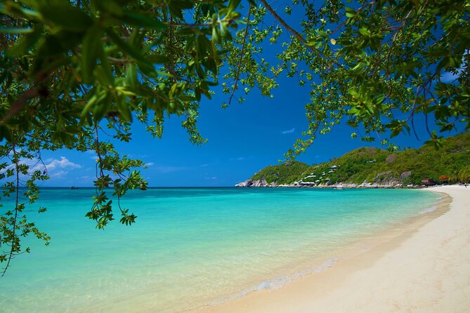 Koh Tao's First Light Snorkel Adventure with Oxygen Tours - Authentic Experiences from Reviews