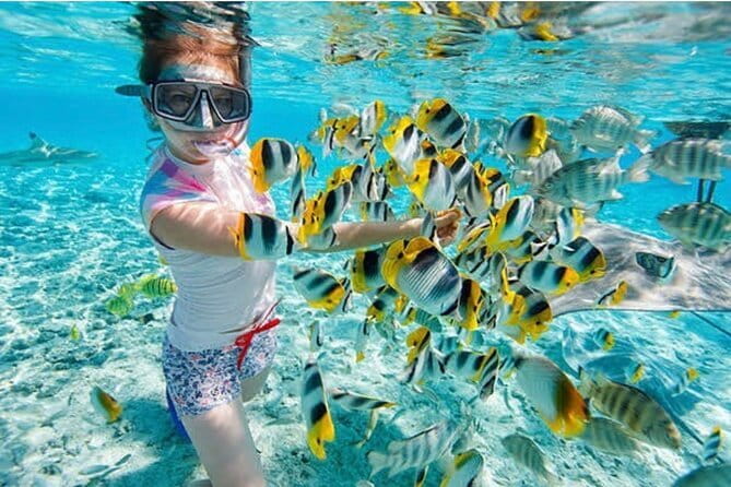 Half Day Ubud Village Private All Inclusive Tour - Who Should Book This Tour?