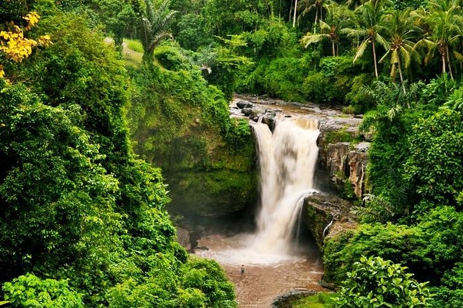 Bali Swing Experience and Ubud Tour - Who Should Consider This Tour?