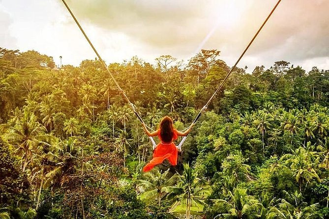 Bali Swing Experience and Ubud Tour - Good To Know