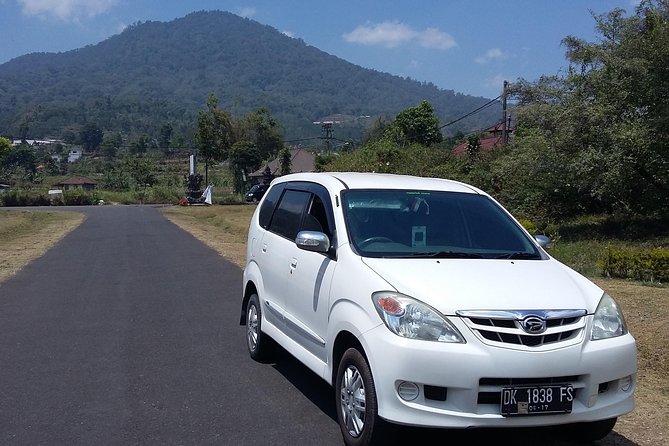 Bali Airport to Hotel-Private Arrival Transfer - Who Is This Transfer Best For?