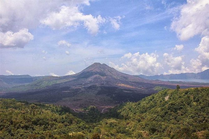 Bali Artistic Tour with Tirta Empul Temple - Final Thoughts