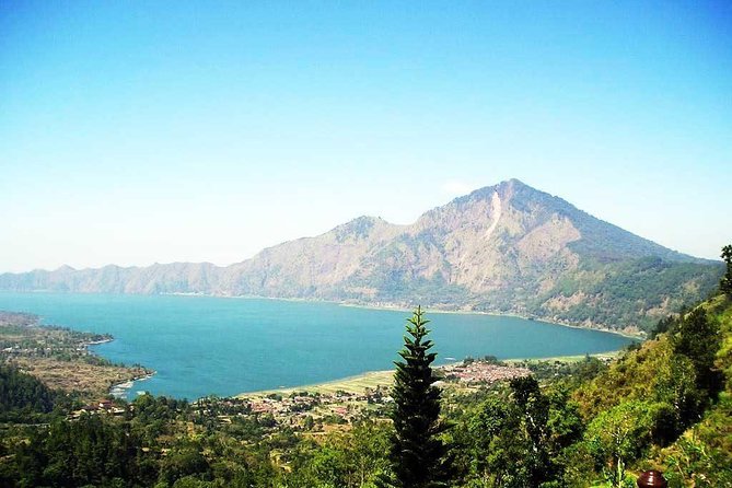 Bali Artistic Tour with Tirta Empul Temple - Who Should Book This Tour?