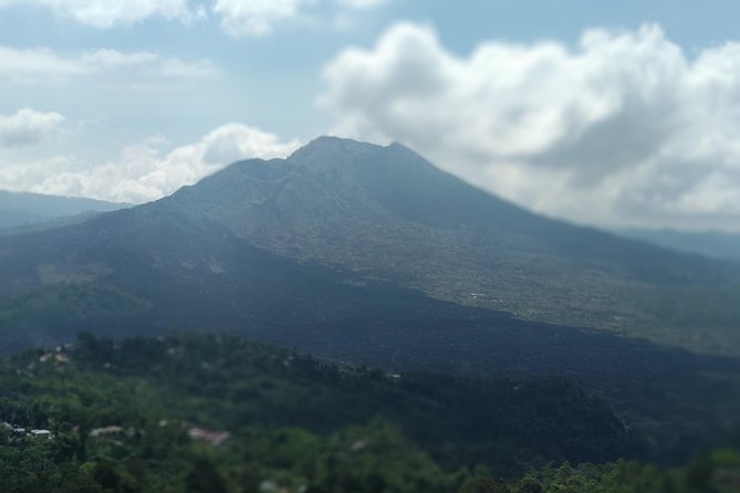 Ubud Private & Customize Day Tour - Introduction to the Bali Ubud Day Experience