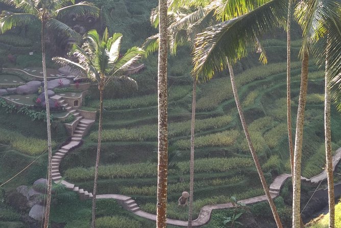 Ubud Private & Customize Day Tour - What Makes This Tour Unique?